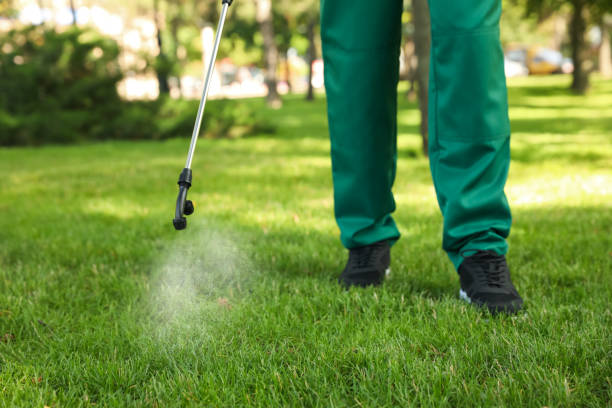 Best Mosquito Control Services  in Mallory, WV