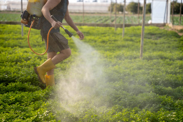 Pest Control Cost in Mallory, WV